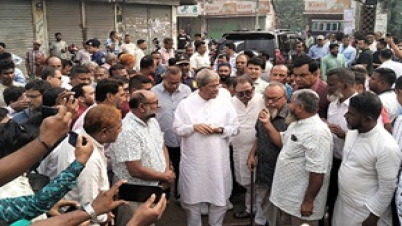 উপদেষ্টা নিয়োগ সম্পূর্ণ প্রধান উপদেষ্টার এখতিয়ার-এব্যাপারে বিএনপি