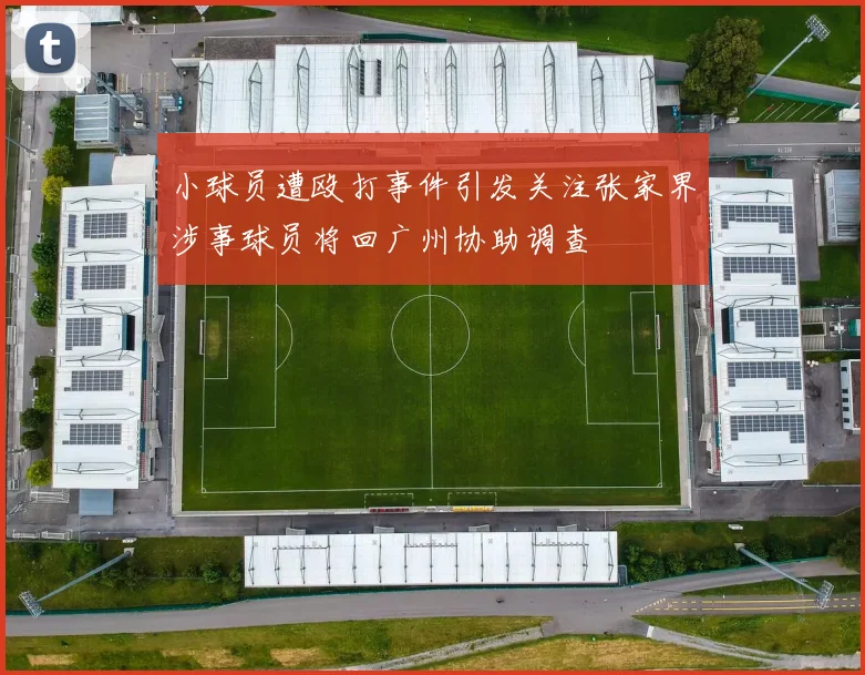 小球员遭殴打事件引发关注张家界涉事球员将回广州协助调查